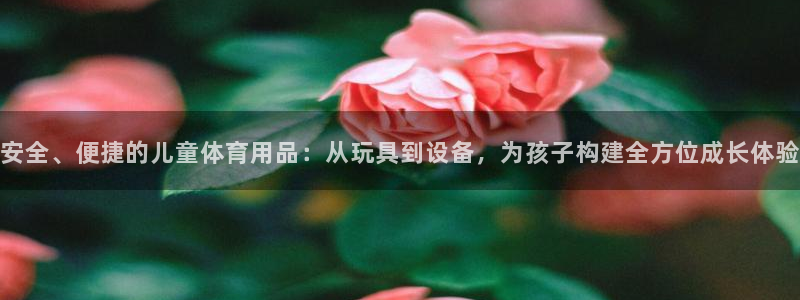 意昂4代理：安全、便捷的儿童体育用品：从玩具到设备，为孩子构