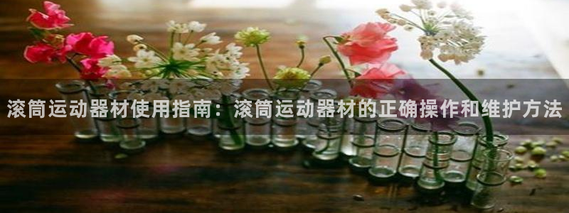 注册意昂4：滚筒运动器材使用指南：滚筒运动器材的正确操作和维