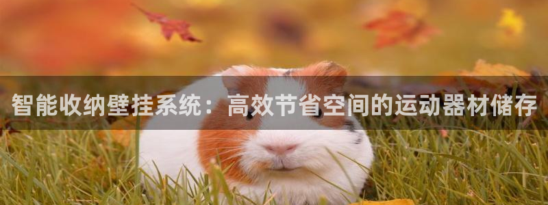 意昂体育4平台注册流程视频：智能收纳壁挂系统：高效节省空间的