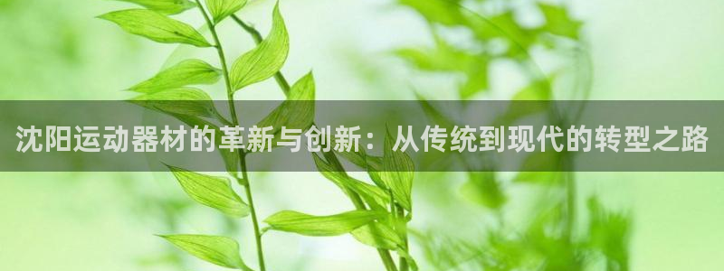 意昂4娱乐平台：沈阳运动器材的革新与创新：从传统到现