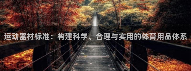 意昂体育4平台注册流程图：运动器材标准：构建科学、合理与实用