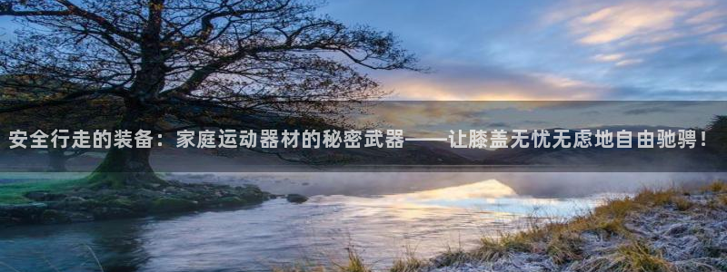 意昂4集团logo：安全行走的装备：家庭运动器材的秘